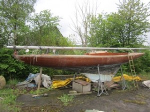 IMG_1397